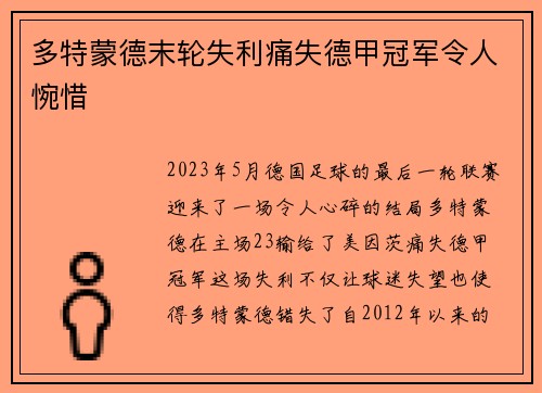 多特蒙德末轮失利痛失德甲冠军令人惋惜